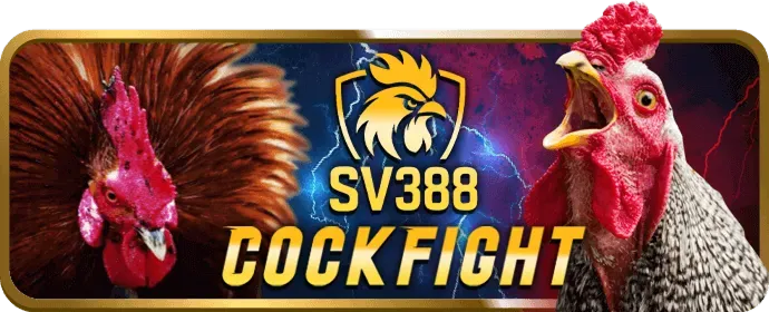 Hỗ trợ khách hàng 24/7 trên vua88 APP